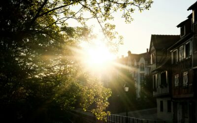 La perte d’ensoleillement induite par une construction voisine : préjudice réparable ou inconvénient normal de voisinage ?